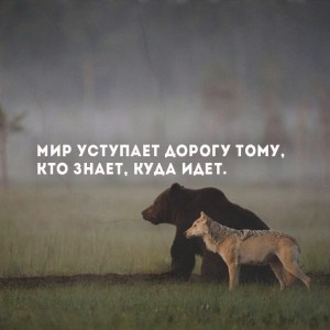 image (7)