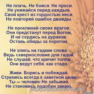 image (4)