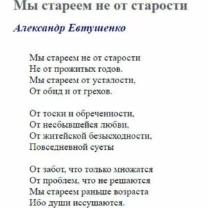 image (7)