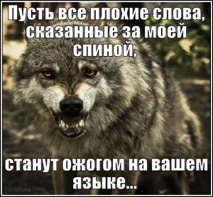 image (2)