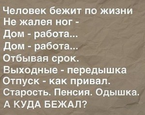 image (5)
