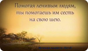 image (11)