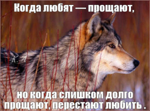 image (1)