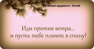 image (12)