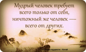 image (13)