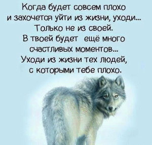 image (16)