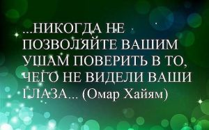 image (17)