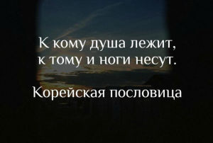 image (18)