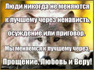 image (21)