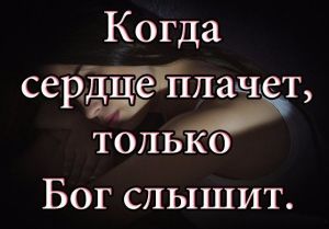 image (23)