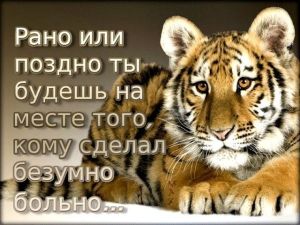 image (24)