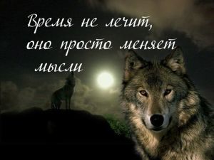 image (30)