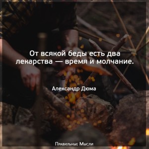 image (31)