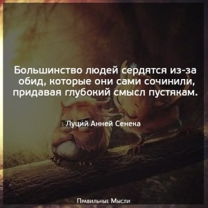image (32)