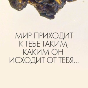 image (39)