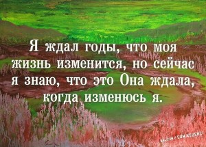 image (41)