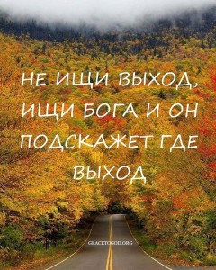 image (42)