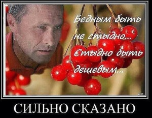 image (46)