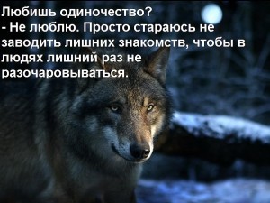 image (48)