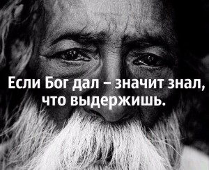 image (50)