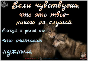 image (51)