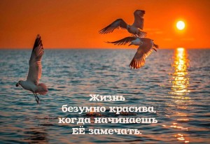 image (5)