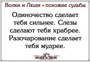 image (55)
