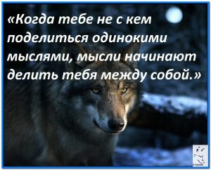 image (58)