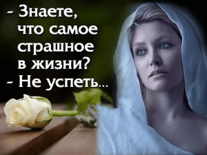 image (59)