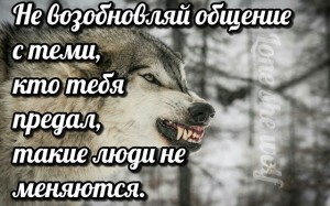 image (61)