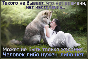 image (62)