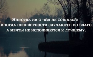 image (63)