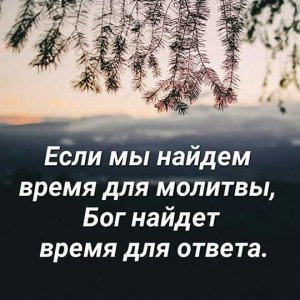 image (66)