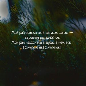 image (69)