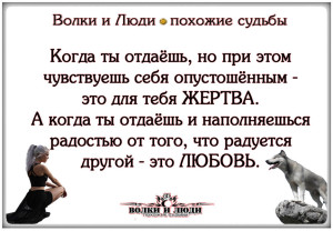 image (7)