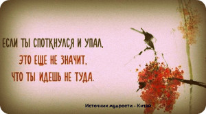 image (8)