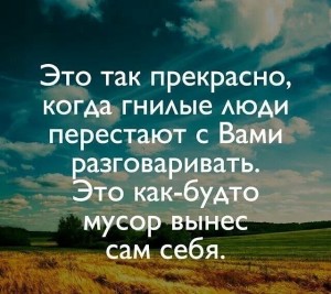 image (8)