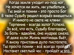 image (11)