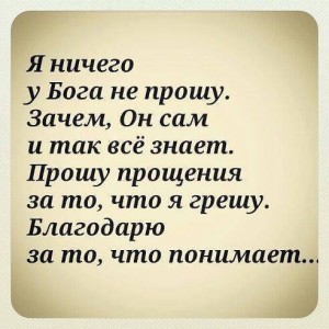 image (17)