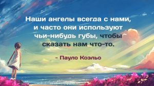 image (19)