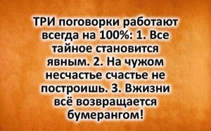image (20)