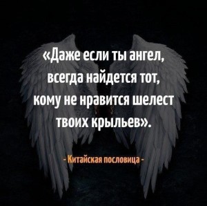 image (23)